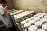 "Výroba sýru camembert"